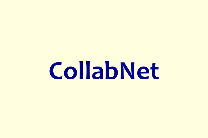 Software Solutions Provider CollabNet