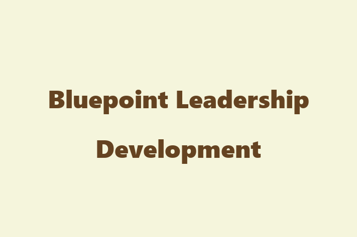 Software Firm Bluepoint Leadership Development