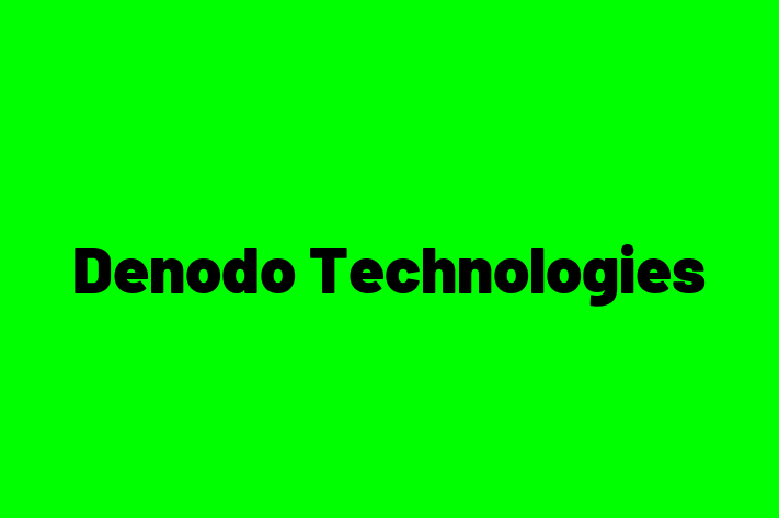 Software Consultancy Denodo Technologies