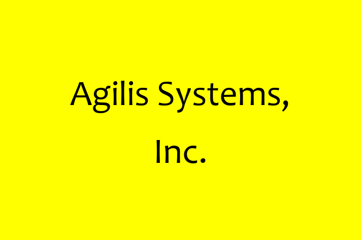 Software Development Firm Agilis Systems Inc.