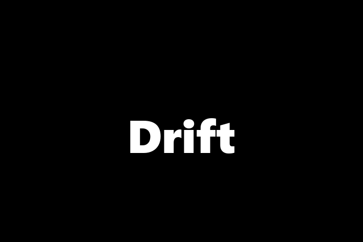 Application Development Company Drift