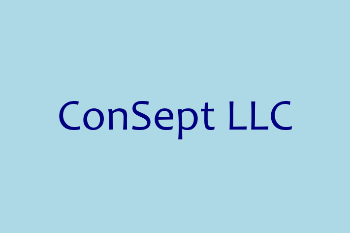 Software Development Firm ConSept LLC