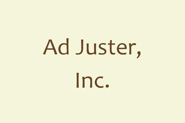 Technology Solutions Firm Ad Juster Inc.