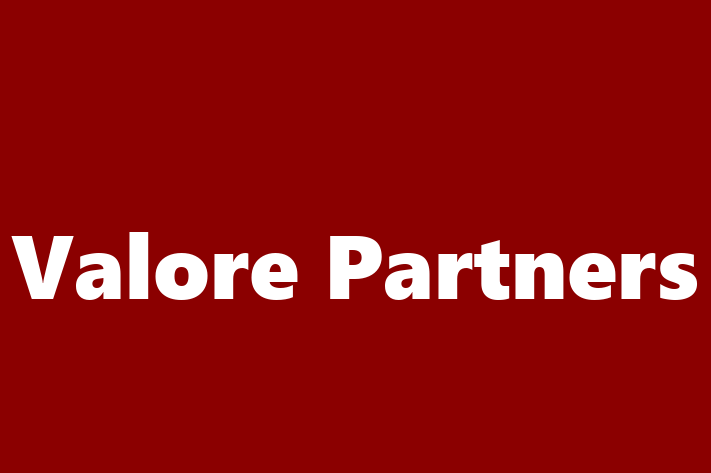 IT Company Valore Partners