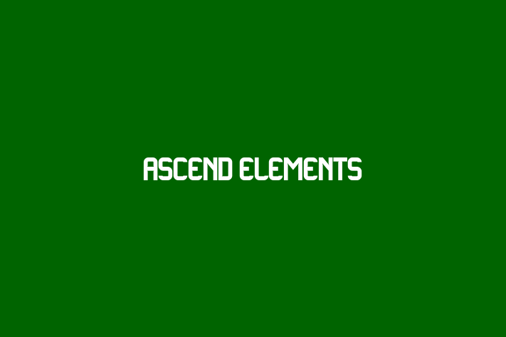 Employee Resource Management Ascend Elements