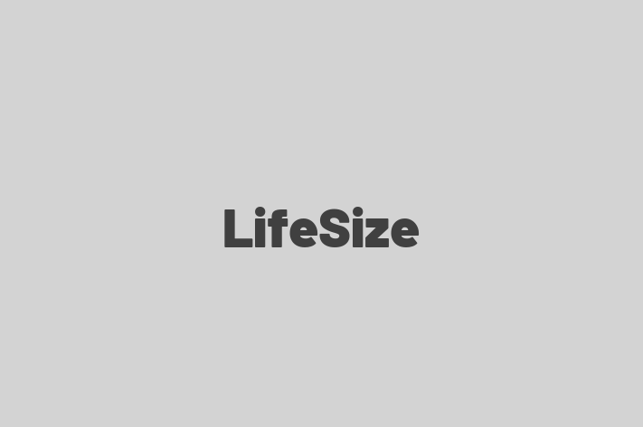 Software Consultancy LifeSize