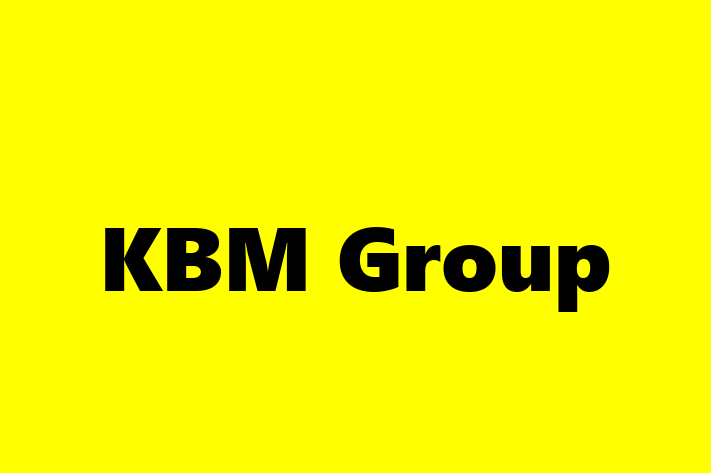 Software Development Company KBM Group