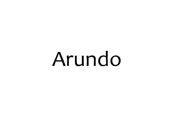 Software Services Company Arundo