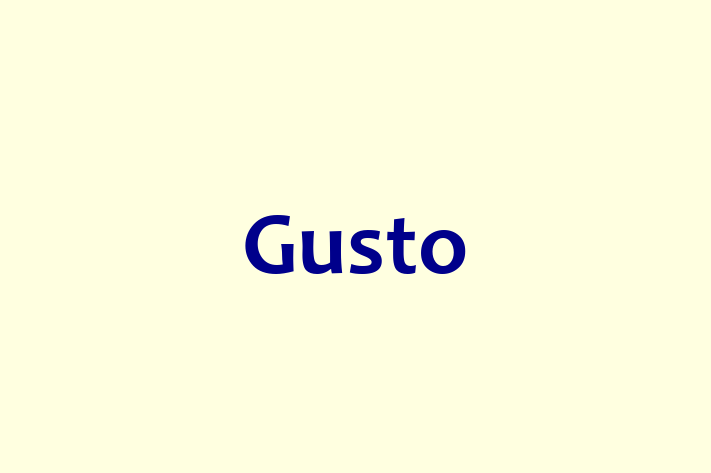 Software Engineering Company Gusto