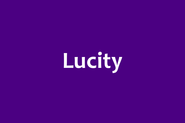 Software Services Company Lucity