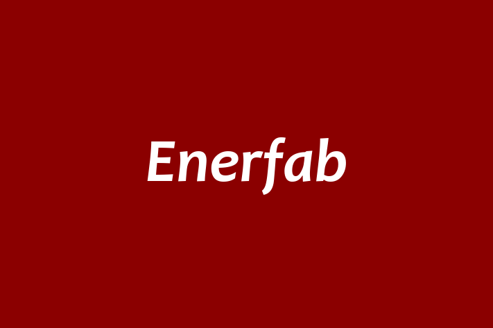 Talent Management Enerfab