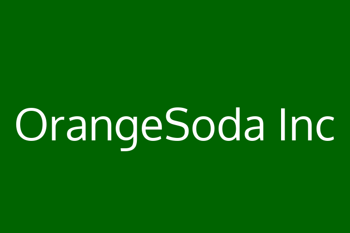 Technology Solutions Firm OrangeSoda Inc