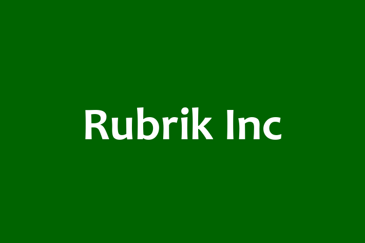 Digital Solutions Provider Rubrik Inc