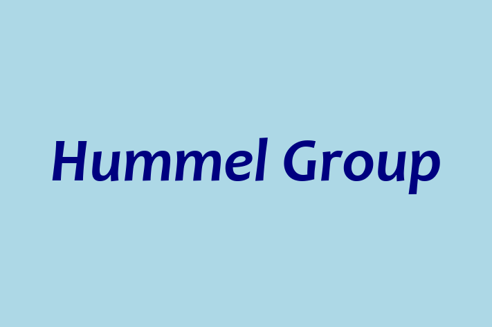 Employee Resource Management Hummel Group