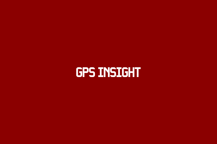 Software Consultancy GPS Insight