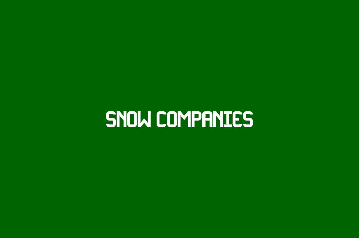 Talent Management Snow Companies