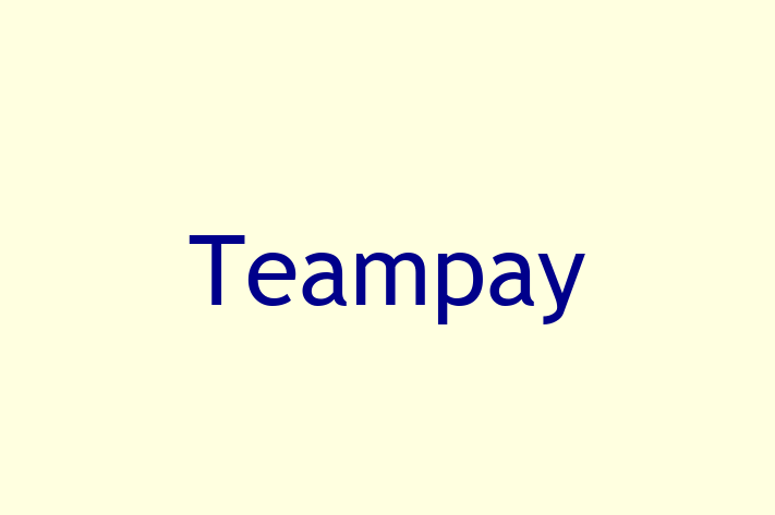 Software Firm Teampay