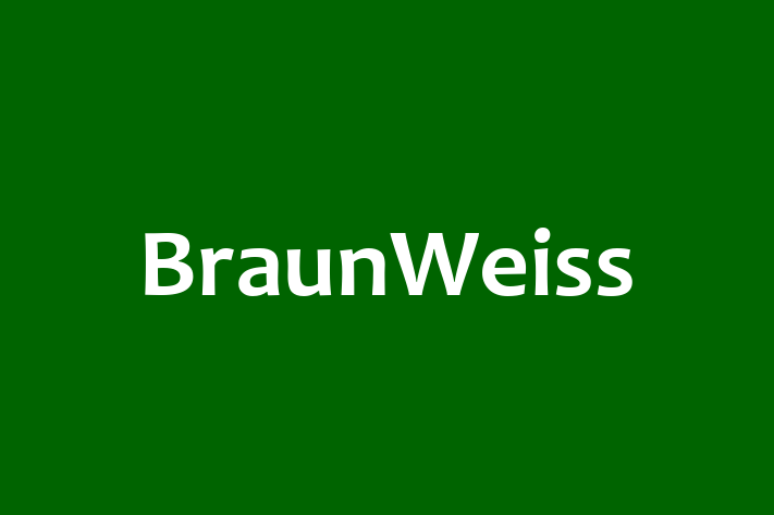 Personnel Management BraunWeiss