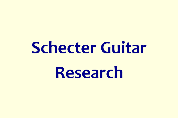 People Management Schecter Guitar Research