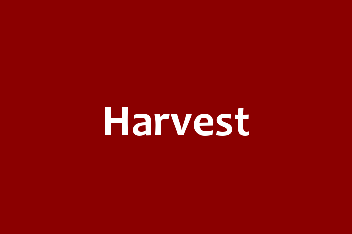 Human Capital Management Harvest