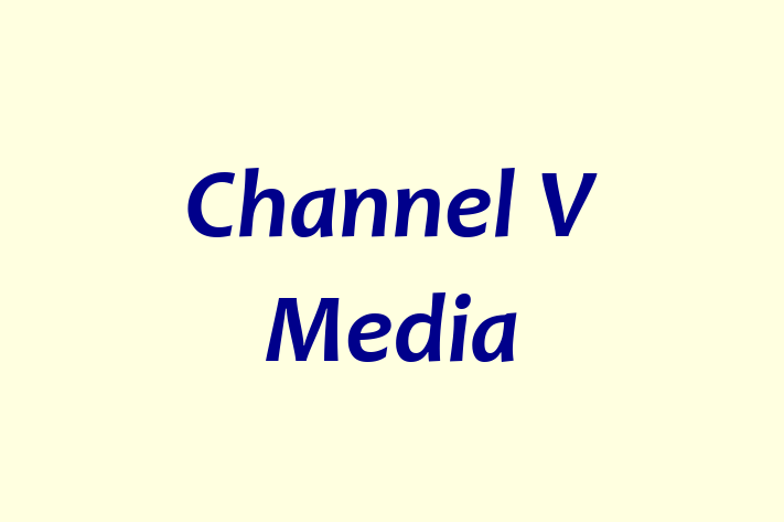 Software Consultancy Channel V Media