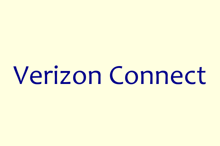 Application Development Company Verizon Connect