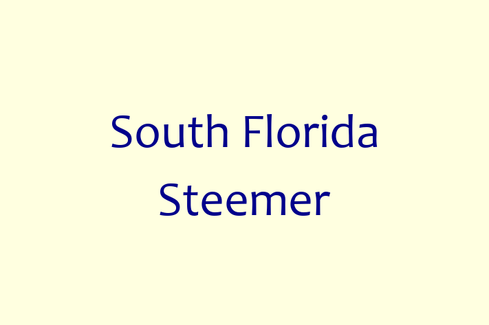 Janitorial Services South Florida Steemer