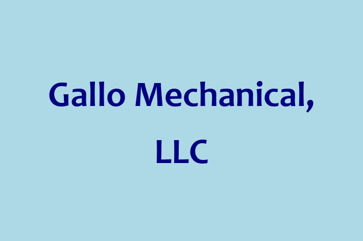 Human Resource Management Gallo Mechanical LLC