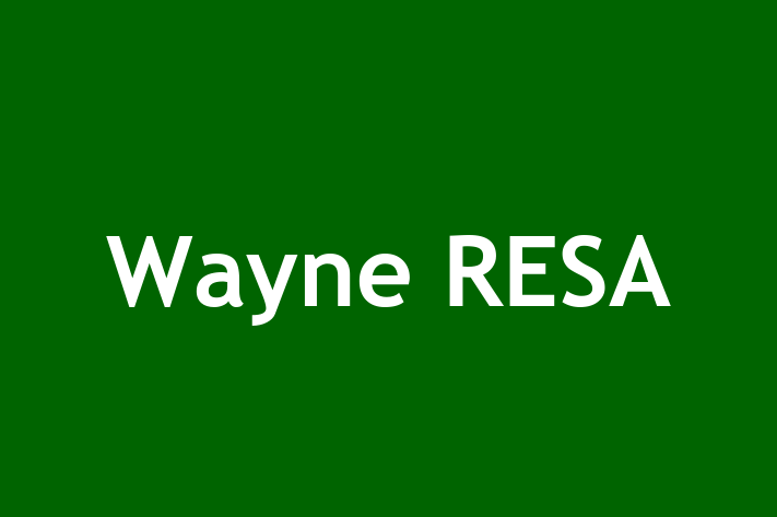 Software Development Firm Wayne RESA