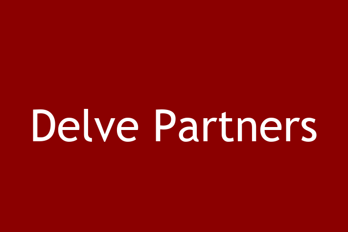 Software Consultancy Delve Partners