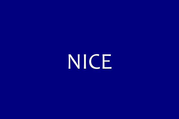 Software Engineering Company NICE