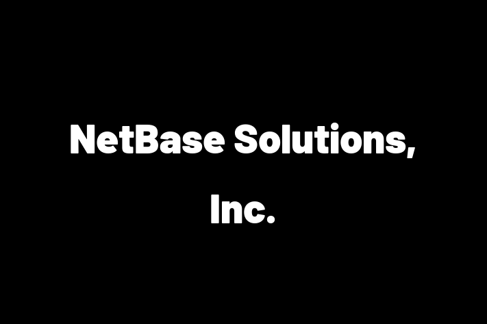 Software Services Company NetBase Solutions Inc.