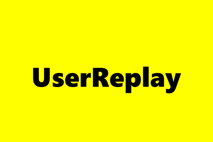 Digital Solutions Provider UserReplay