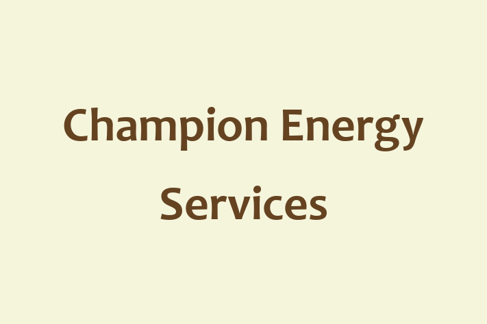 Digital Solutions Provider Champion Energy Services