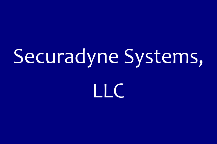 Software Services Company Securadyne Systems LLC