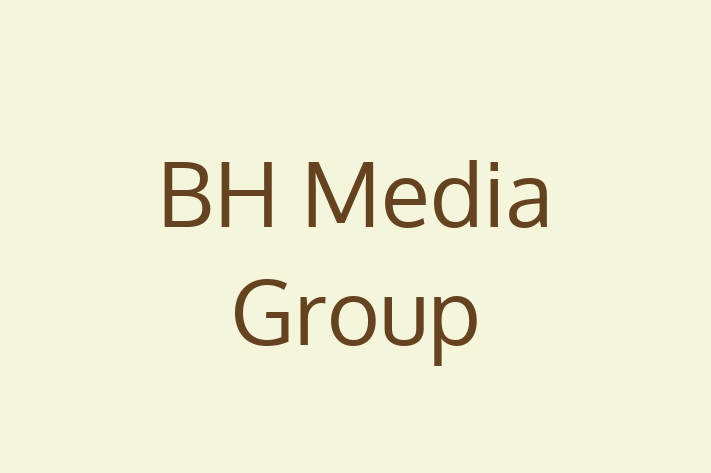 IT Company BH Media Group