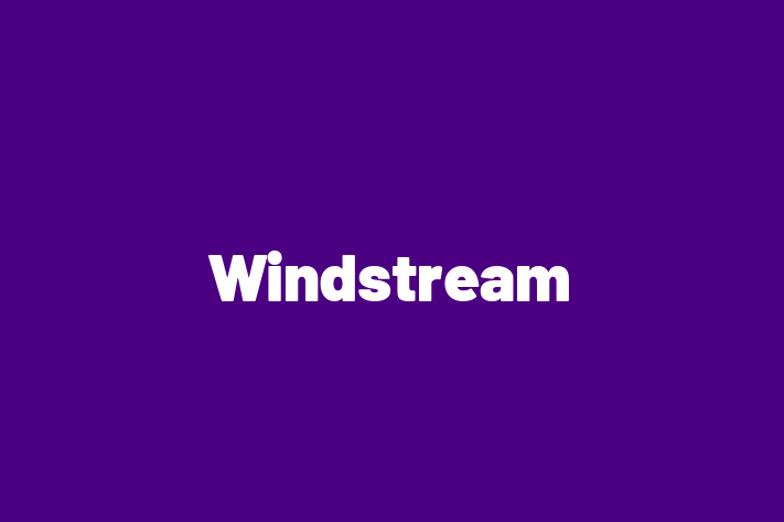 Digital Solutions Provider Windstream