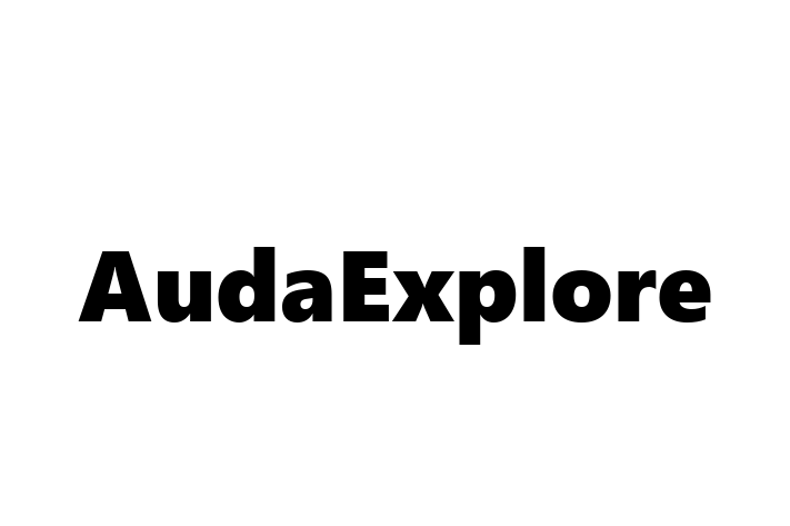 Software Development Firm AudaExplore