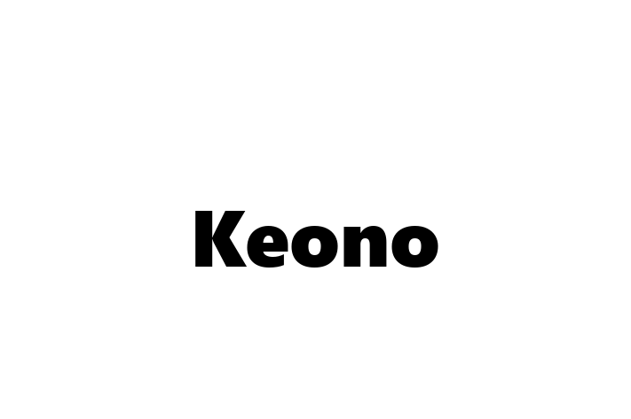 IT Company Keono