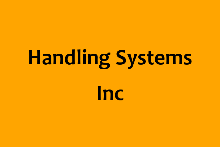 Software Services Company Handling Systems Inc