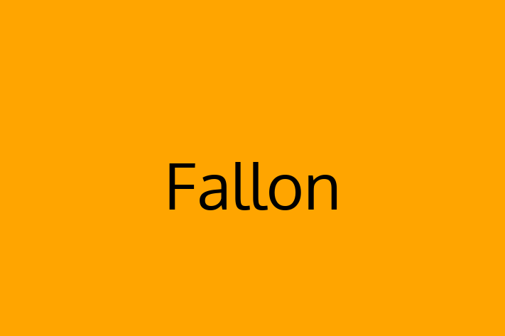 Software Development Firm Fallon