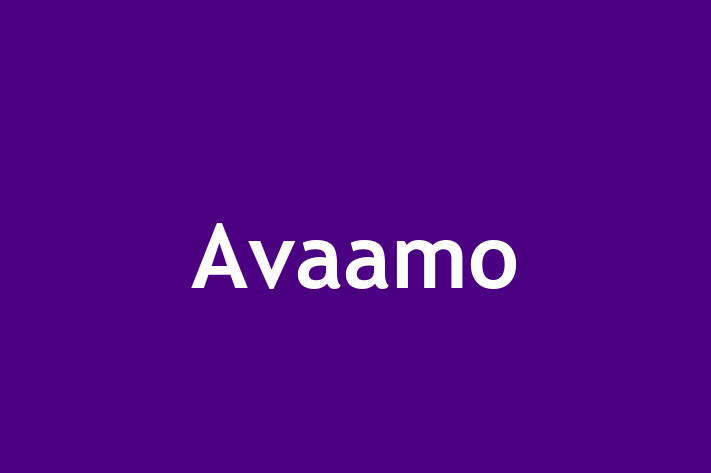 Software Development Company Avaamo