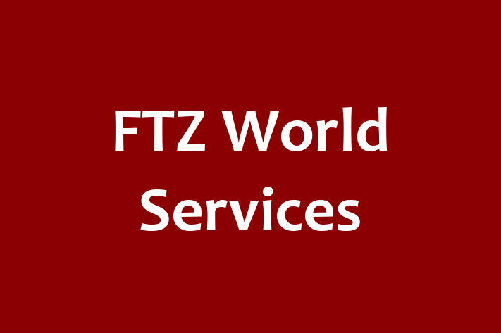 Application Development Company FTZ World Services