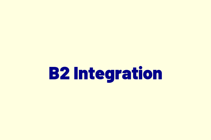 IT Company B2 Integration