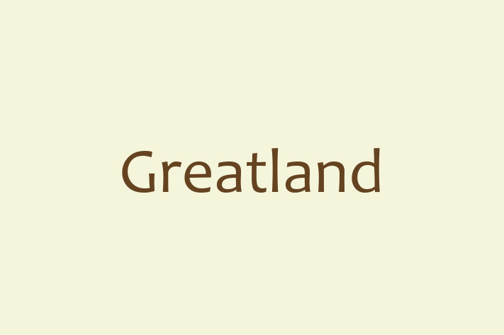 Technology Solutions Firm Greatland