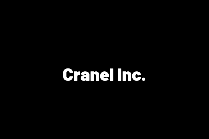 Software Services Company Cranel Inc.