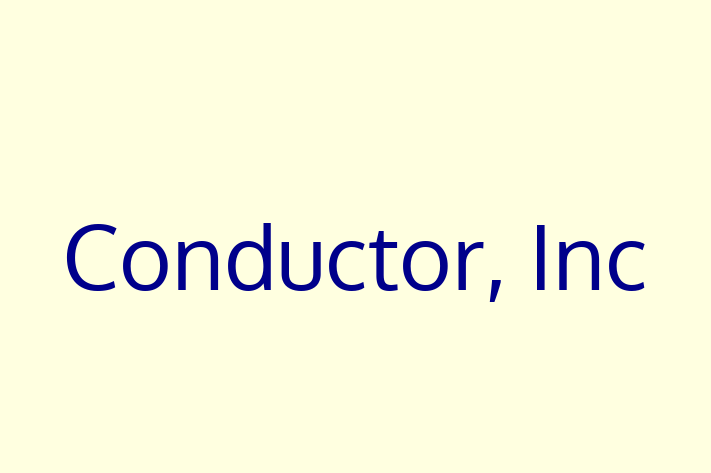 IT Company Conductor Inc