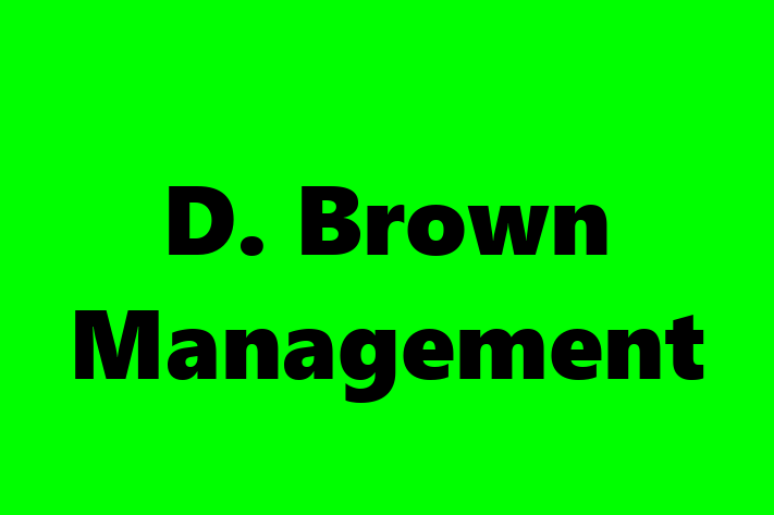 Software Firm D. Brown Management