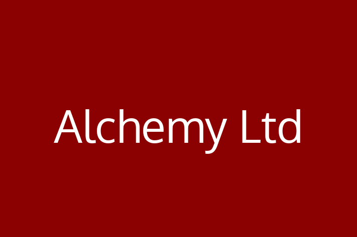 Software Engineering Company Alchemy Ltd