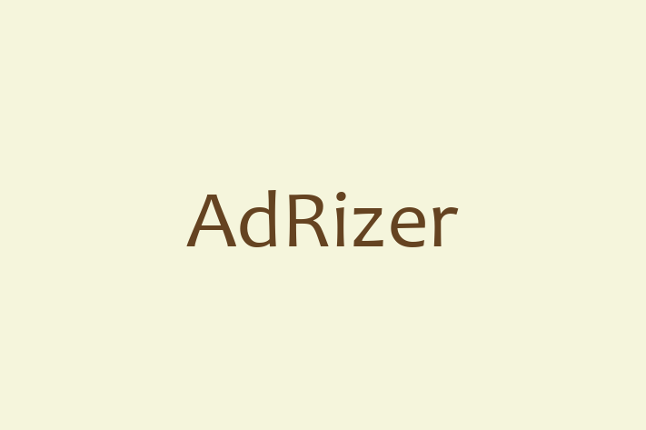 Software Engineering Company AdRizer